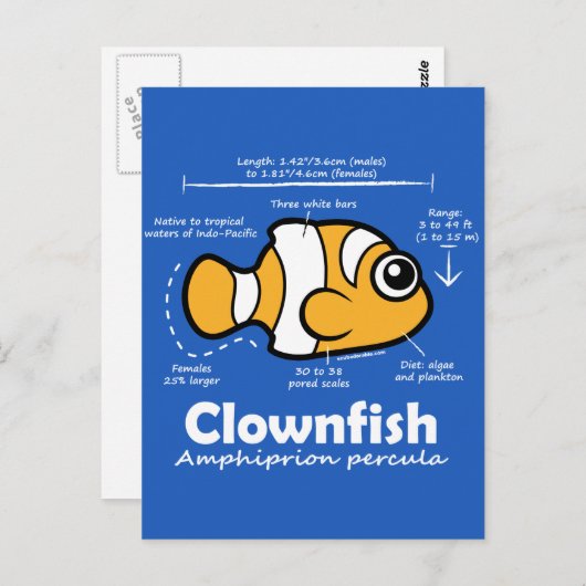 Clownfish Statistics Briefkaart (Voorkant / Achterkant)