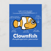Clownfish Statistics Briefkaart (Voorkant)
