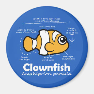 Clownfish Statistics Magneet