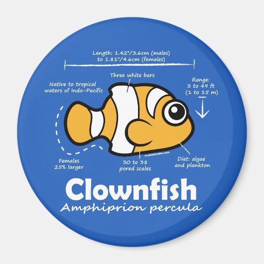 Clownfish Statistics Magneet (Voorkant)