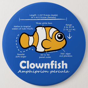 Clownfish Statistics Ronde Button 6,0 Cm
