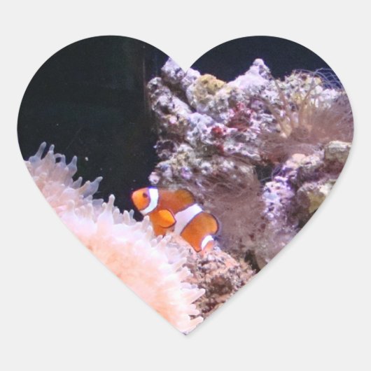Clownfish Sticker (Voorkant)