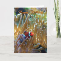 Clownfish Verjaardag Kaart - Fotografie Kaart - Ha