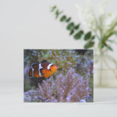 Clownfish Zee Anemone Coral Onderwater Leuke foto Briefkaart (Staand voorkant)