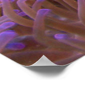 Clowning rond poster (Hoek)