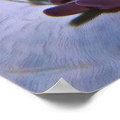 Clowns en garnalen poster (Hoek)