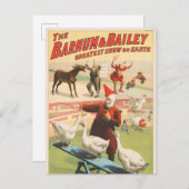 Clowns met optredende ganzen, hanen en ezels. briefkaart (Voorkant / Achterkant)