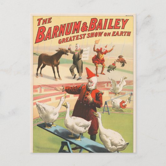 Clowns met optredende ganzen, hanen en ezels. briefkaart (Voorkant)