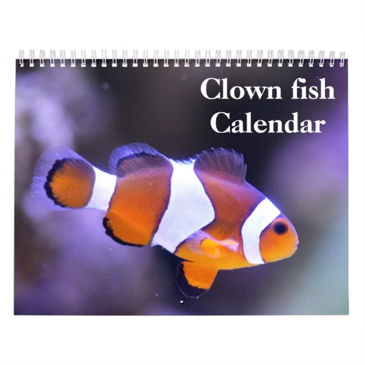 Clownvis 2027 kalender (Hoes)