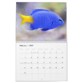 Clownvis 2027 kalender (Feb 2027)
