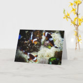 "Clownvis" Beterschapkaart Kaart (Gele Bloem)