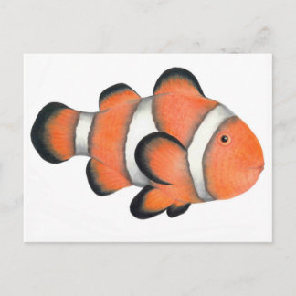 Clownvis Briefkaart