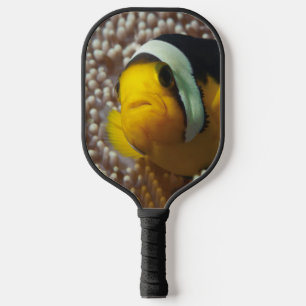 Clownvis - Close-Up! Zo schattig - Nemo in Anemoon Pickleball Paddle