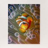 Clownvis in Zee Anemone Legpuzzel (Verticaal)
