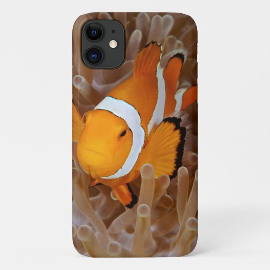 Clownvis - Molokai, North Shore Cliff Case-Mate iPhone Case (Achterkant)