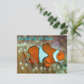 Clownvis op het Briefkaart van het Great Barrier R (Staand voorkant)
