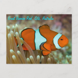 Clownvis op het Briefkaart van het Great Barrier R