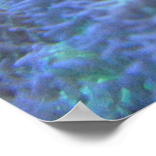 Clownvis Poster (Hoek)