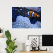 Clownvis Poster (Thuiskantoor)