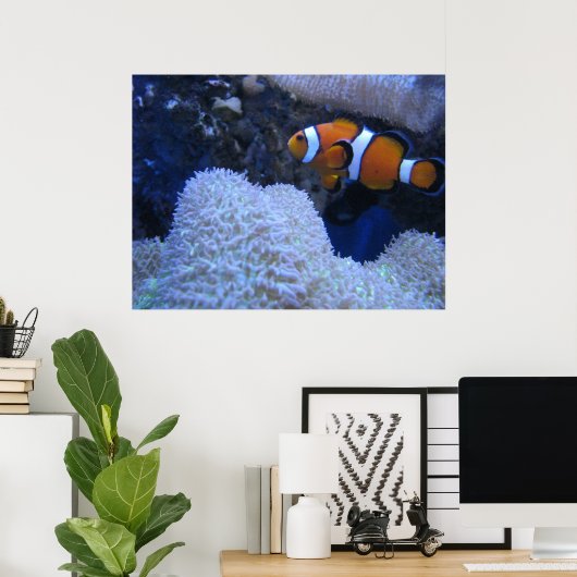 Clownvis Poster (Thuiskantoor)