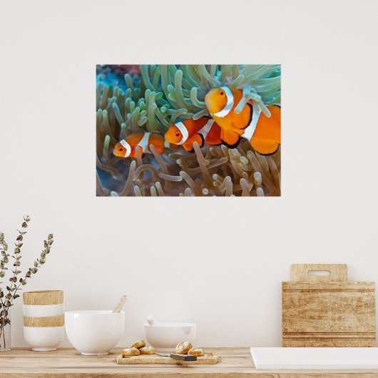 Clownvis Poster (Keuken)