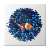 Clownvis Tegeltje (Voorkant)