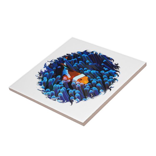 Clownvis Tegeltje (Zijkant)