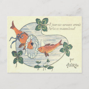 Clownvis Waterlelie Briefkaart