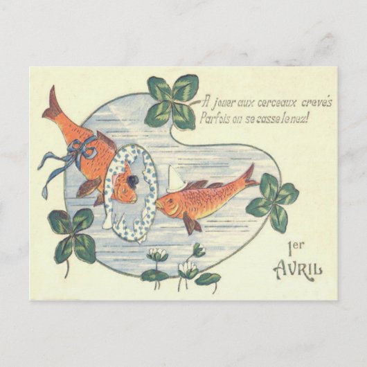 Clownvis Waterlelie Briefkaart (Voorkant)