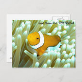 ClownvisBriefkaart Briefkaart (Voorkant / Achterkant)