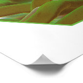 Clownvissen in groene anemoon. fotografisch ontwer poster (Hoek)