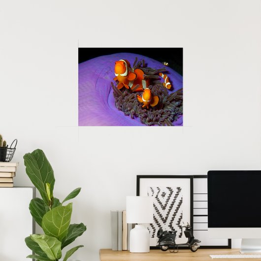 Clownvissen zijn altijd in beweging | drukbezet an poster (Thuiskantoor)