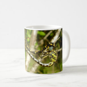 Club-tailed libellen paring bug Mok