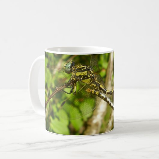 Club-tailed libellen paring bug Mok (Voorkant links)