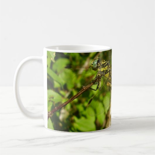 Club-tailed libellen paring bug Mok (Links)