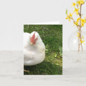 Cluck, Cluck, Here Kaart (Gele Bloem)