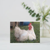 Cluck - Sweet White Chicken Briefkaart (Staand voorkant)