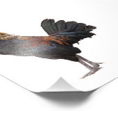 Clucking Chicken Foto Afdruk (Hoek)