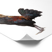 Clucking Chicken Poster (Hoek)