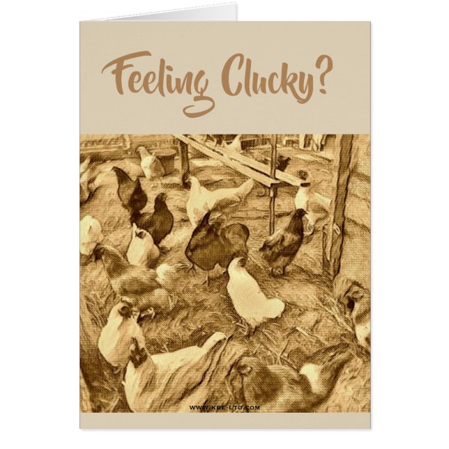 CLUCKY CHICKENS CARD (Voorkant)
