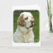 Clumber Spaniel 9Y003D-101 Kaart (Voorkant)