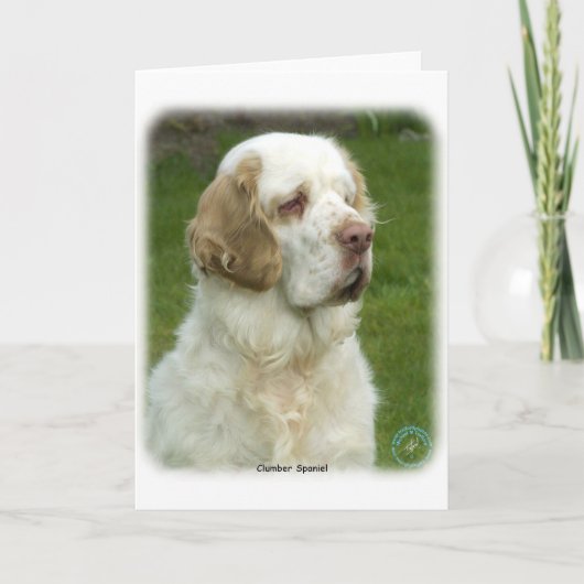 Clumber Spaniel 9Y003D-101 Kaart (Voorkant)