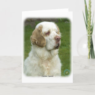 Clumber Spaniel 9Y003D-101 Kaart