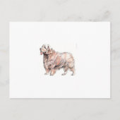 Clumber Spaniel Briefkaart (Voorkant)
