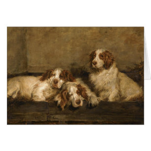  - Clumber Spaniel Dogs