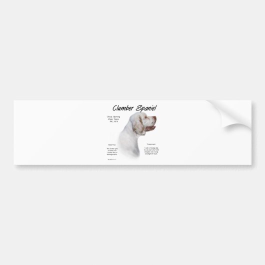 Clumber Spaniel Geschiedenis Ontwerp Bumpersticker (Voorkant)