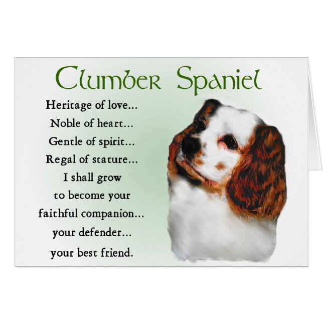 Clumber Spaniel Gifts (Voorkant Horizontaal)