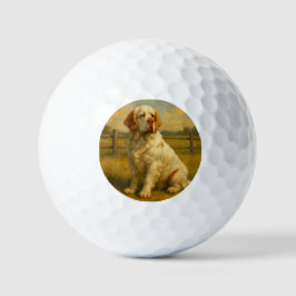 Clumber Spaniel Golfballen