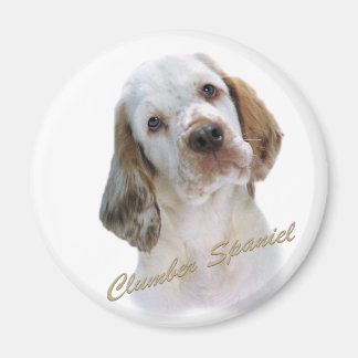 Clumber Spaniel Magnet