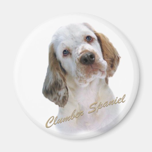 Clumber Spaniel Magnet (Voorkant)
